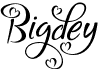preview image of the Bigdey font