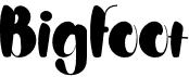 preview image of the Bigfoot font