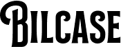 preview image of the Bilcase font