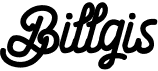 preview image of the Billgis font