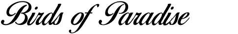 preview image of the Birds of Paradise font