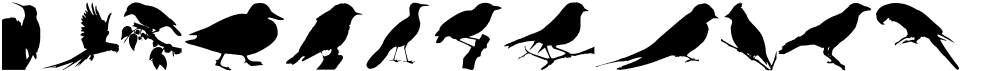 preview image of the Birds TFB font