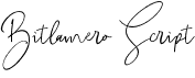 preview image of the Bitlamero Script font