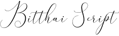 preview image of the Bitthai Script font
