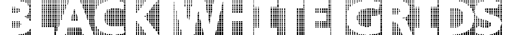 preview image of the Black White Grids font