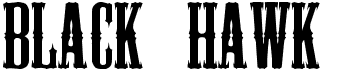 preview image of the Black Hawk font