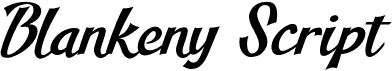 preview image of the Blankeny Script font