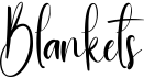 preview image of the Blankets font