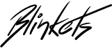 preview image of the Blinkets font