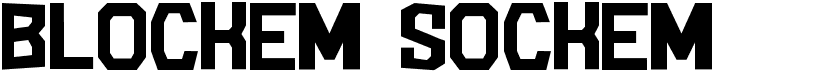 preview image of the Blockem Sockem font