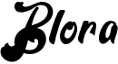 preview image of the Blora font