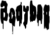 preview image of the Bodybag font
