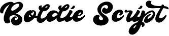 preview image of the Boldie Script font
