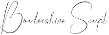 preview image of the Bordershine Script font