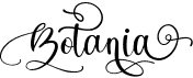 preview image of the Botania font