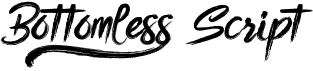 preview image of the Bottomless Script font