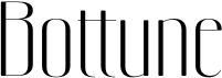 preview image of the Bottune font
