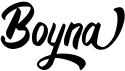 preview image of the Boyna font