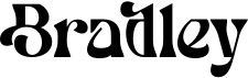 preview image of the Bradley font