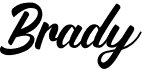 preview image of the Brady font