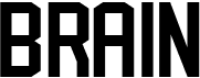 preview image of the Brain font