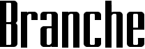 preview image of the Branche font