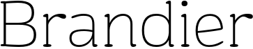 preview image of the Brandier font