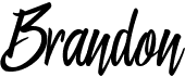preview image of the Brandon font