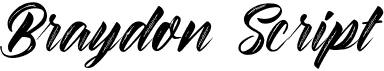 preview image of the Braydon Script font