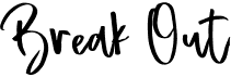 preview image of the Break Out font
