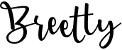 preview image of the Breetty font