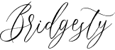 preview image of the Bridgesty font