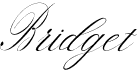 preview image of the Bridget font