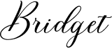 preview image of the Bridget Script font