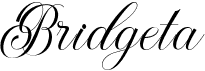 preview image of the Bridgeta font