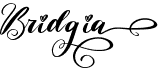 preview image of the Bridgia font