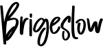 preview image of the Brigeslow font