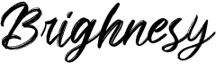 preview image of the Brighnesy font