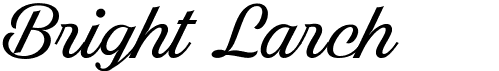 preview image of the Bright Larch font