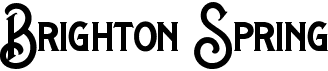 preview image of the Brighton Spring font