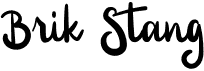 preview image of the Brik Stang font