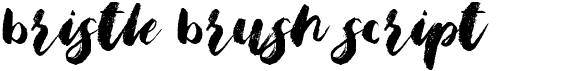 preview image of the Bristle Brush Script font