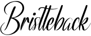 preview image of the Bristteback font