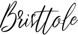 preview image of the Bristtole font
