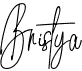 preview image of the Bristya font