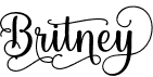 preview image of the Britney font