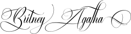 preview image of the Britney Agatha font