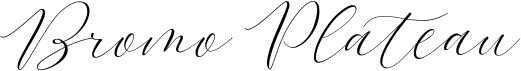 preview image of the Bromo Plateau Script font
