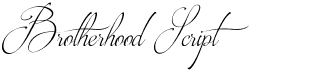 preview image of the Brotherhood Script font