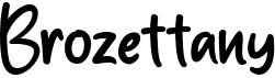 preview image of the Brozettany font